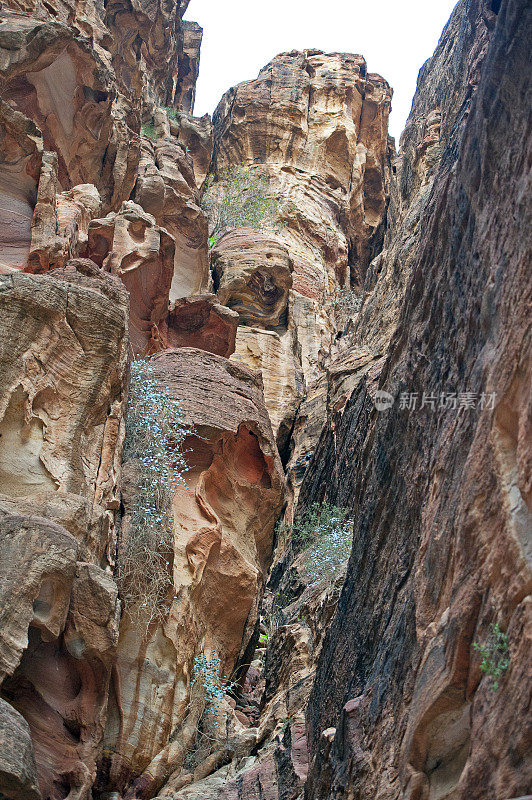 Al Siq峡谷顶部，佩特拉，约旦，中东